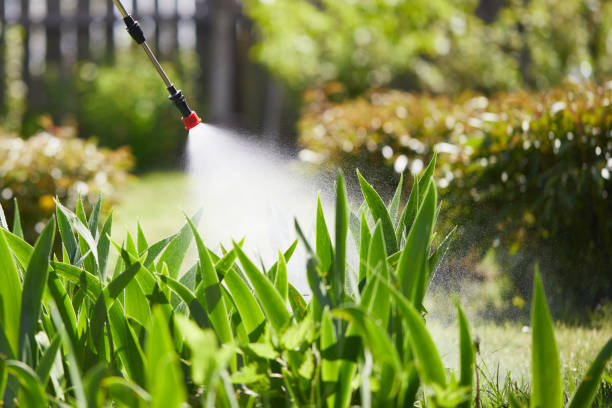 24/7 Emergency Mosquito Control experts in Sandy Oaks, TX